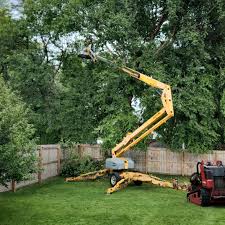Best Organic Lawn Care Solutions  in Hopatcong, NJ