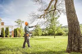 Best Tree Cabling and Bracing  in Hopatcong, NJ