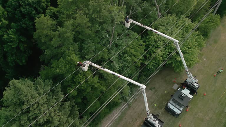 Best Tree Preservation Services  in Hopatcong, NJ