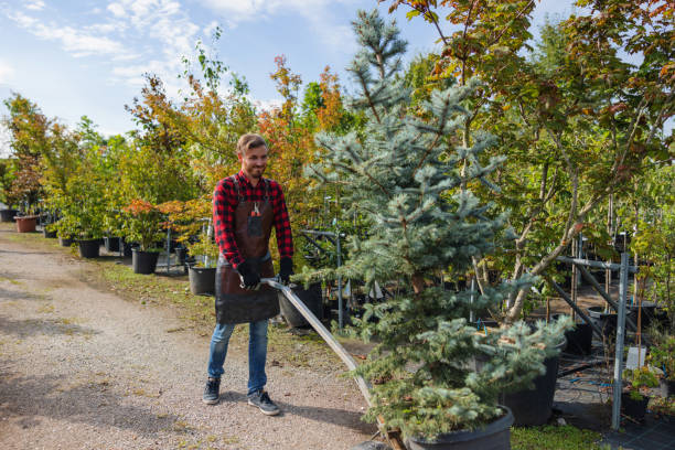 Soil Testing and Treatment in Hopatcong, NJ